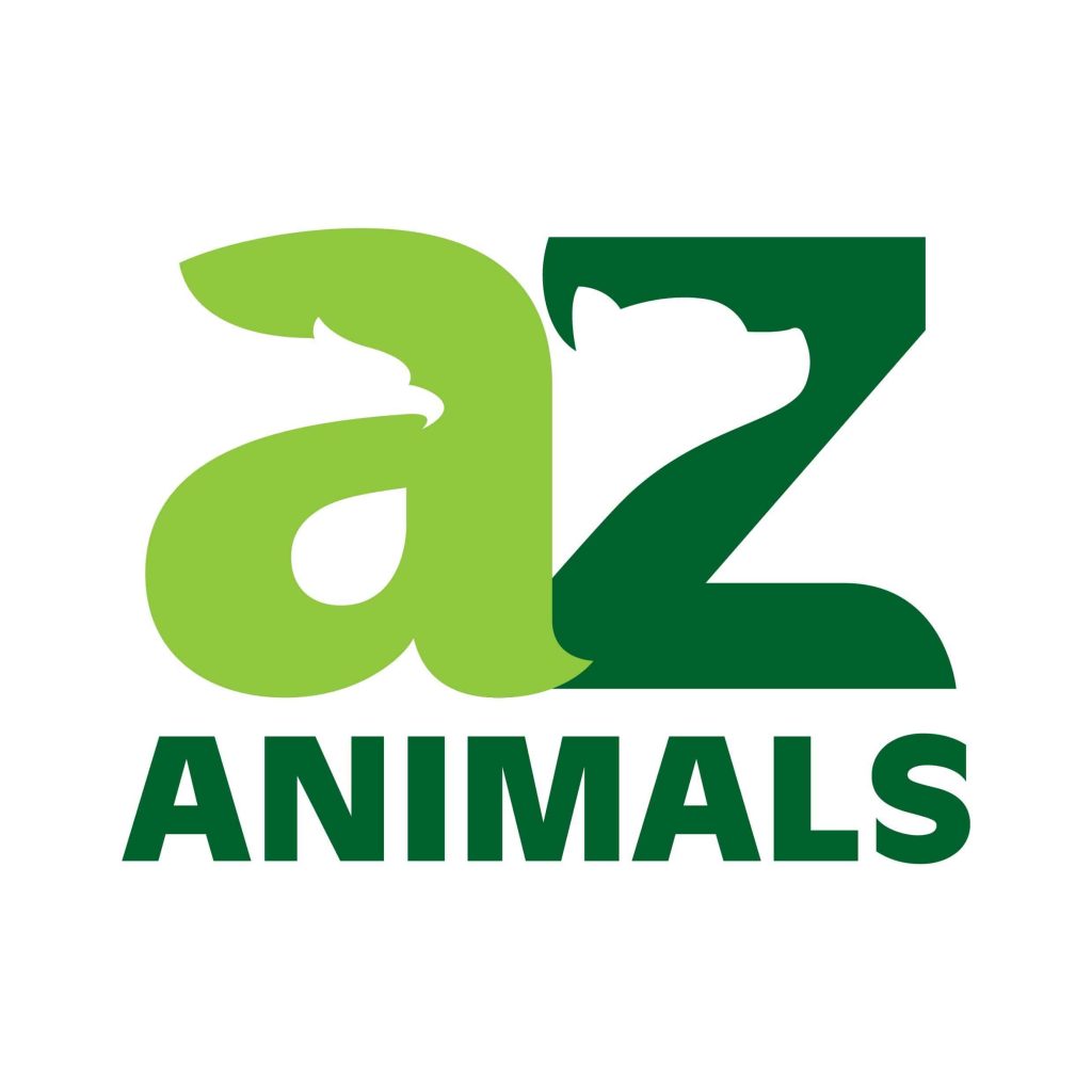 AZ-Animals list